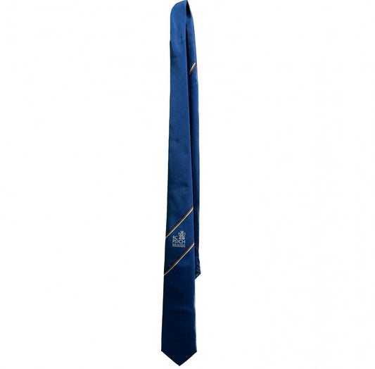 RCPsych Blue Striped Tie